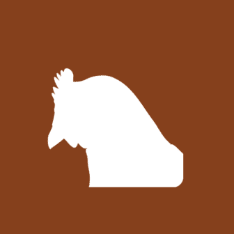 Huhn Spezialitäten