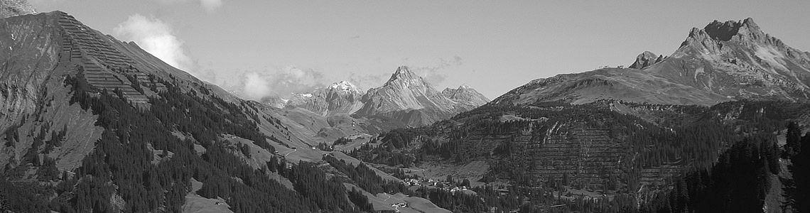 Lebensraum fürs Alpenwild