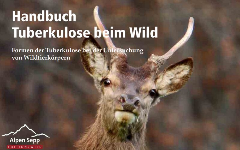 Handbuch TBC Tuberkulose bei Wild